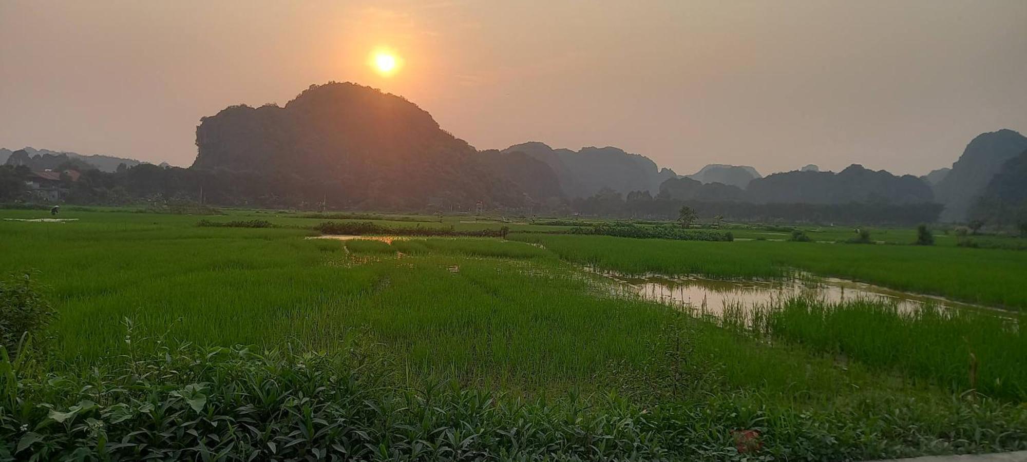 Tam Coc Riverside Homestay Ninh Binh Eksteriør billede