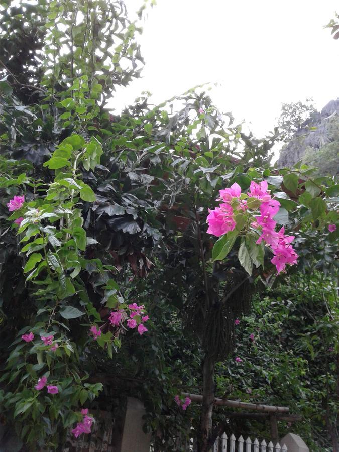 Tam Coc Riverside Homestay Ninh Binh Eksteriør billede